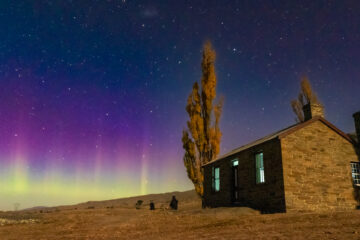 Alby and the Aurora - photo by Andy Davey. Alby, the border collie/blue healer dog sits next to the photographer watching the Aurora alongside the historic Michell's Cottage.